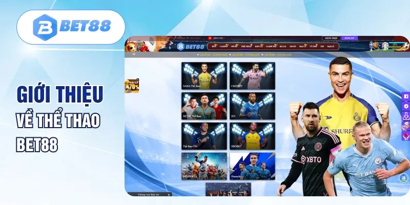 Tóp đối tác cung cấp game hot có mặt tại nhà cái